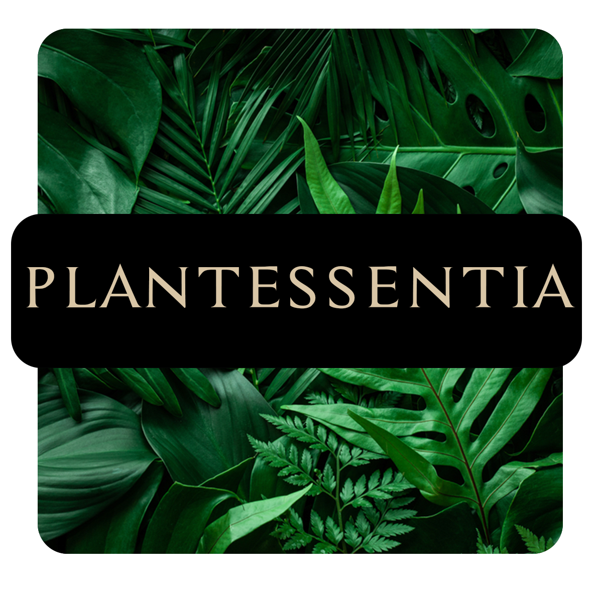 plantessentia
